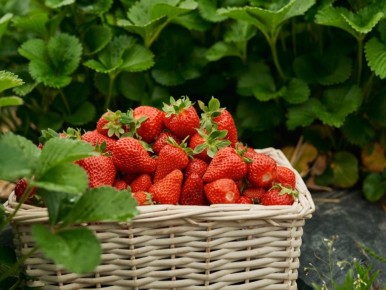 ������� ������� ������ ��������: ��� ����� �����