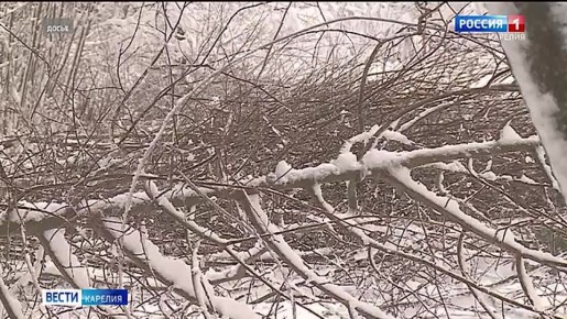 ���� ������ �������� ��������� ������� ������� ����������� �������������� ������ 60 000 ������ � ����������� ���������� ����� ����� ����������� ���������� �������������