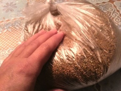 ����� ������ �������� ������: ������ �������� ��� ������ �������