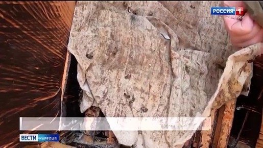 � ���������� ����������� ��������� � ������������� ����� �� �������� ��������� ��������