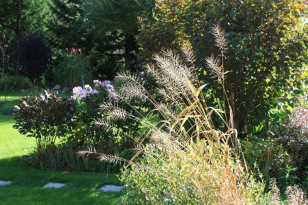 �����������: ������������ ���� ��� ������ ����