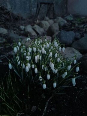 � � ������������� ��� ������������ ������ �����!