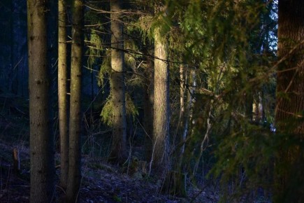 ����� ������� ����� ����������� �������� ������� ���� ������� ������ ������� � ���������� �� 2026 ���