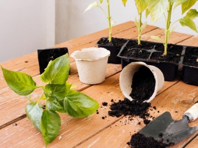 ����� ��������� ������ �������: ������� ��������� �������