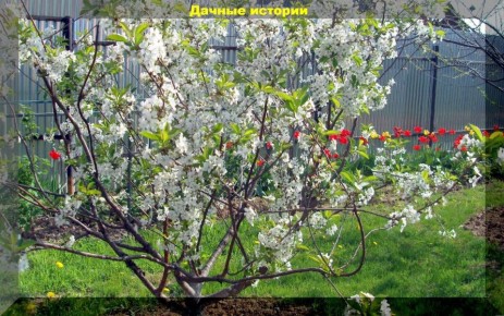 ��� ��������� ���������� ����������� �������� ��� �������� ������