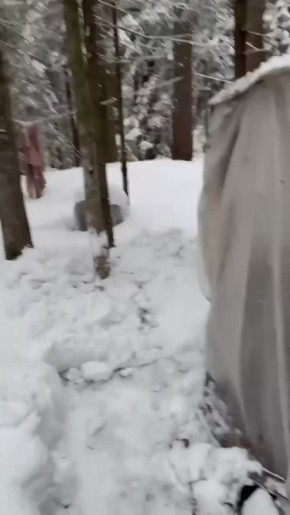 ���������� ����� � ��� ������� ��������� �����������, ������� 8 ��� ��������� � �����