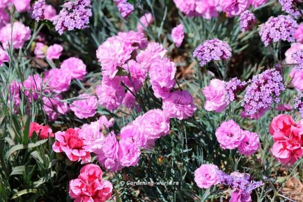 ������ ����� � �������: 7 ������ ��������� ��� �������� � ����