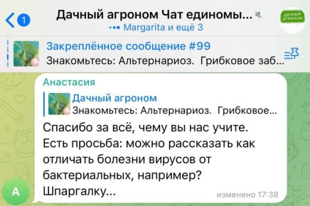 ��� ���������� ������ � ��������: �������� ������ ��� ���������