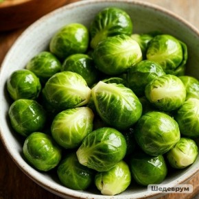 ������������ �������: ������� ���������� � ��������