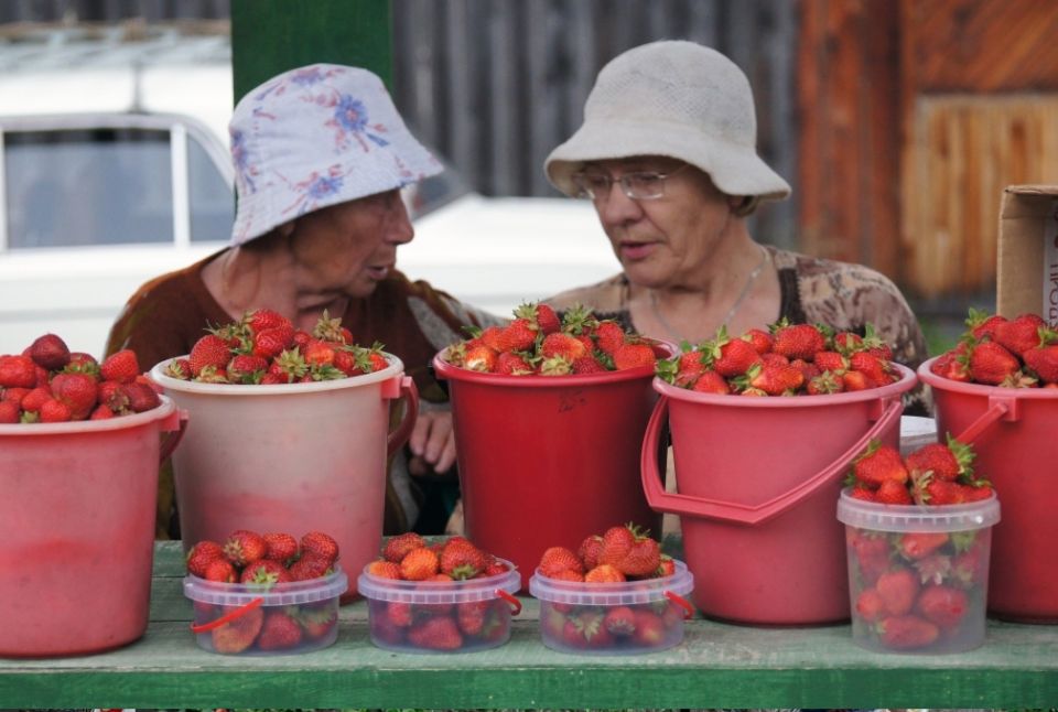 ������� ����� �� ��������� ������: ��� ����� �����