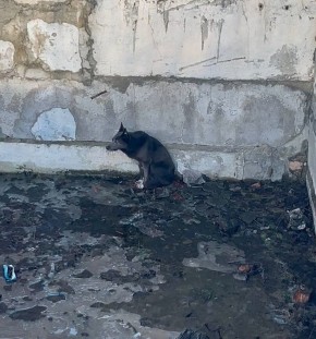 �������� ������� �� ������ �� ����!