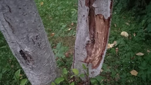 ��� ����������� ������� � ����: ������� ������ � ����������� ������