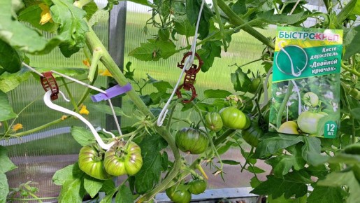 �������� �������� ����� ����� � ���������� ���������� �����������