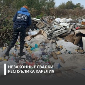 В Республике Карелия Росприроднадзор обнаружил несанкционированную свалку и потребовал возместить вред, причиненный почвам