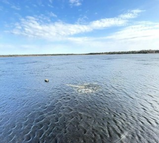 ��������� ������� ���� ���������� �� �������� ����� ������