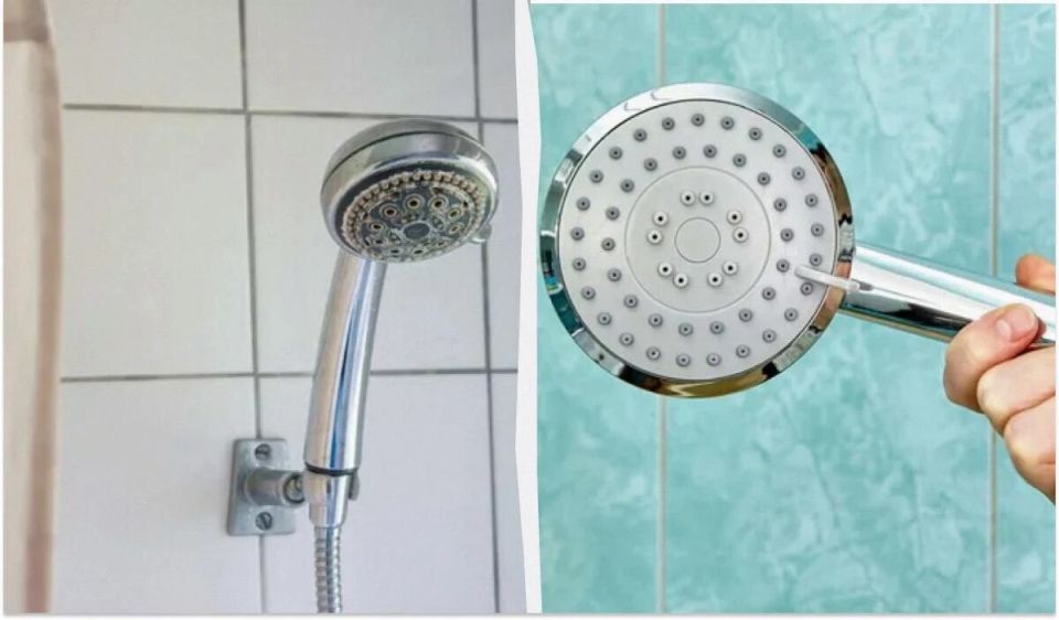 Как быстро очистить душевую лейку: простые способы и удивительные советы