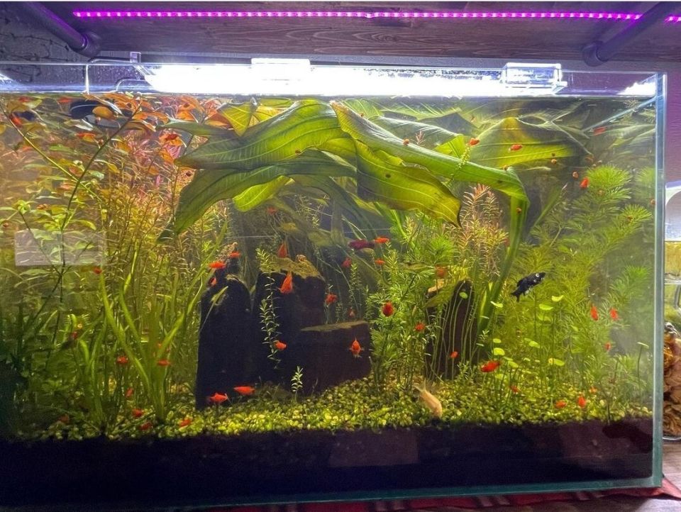 ������ ����� ���������: ��� ���� ��������� ��������� �������� � ���������