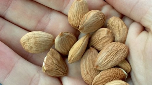 Как контролировать уровень сахара в крови без отказа от сладкого: полезные советы для пожилых людей