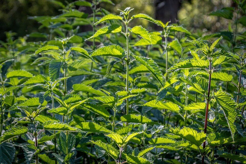 �������: ��� ���� ������ ����� ����� ����� ������