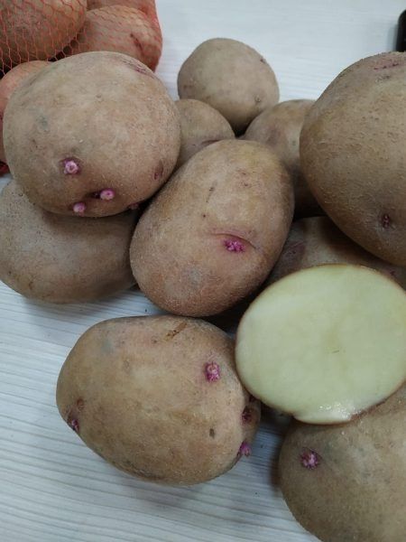 ��������� �����: ��������� ����� ��� ������ �����