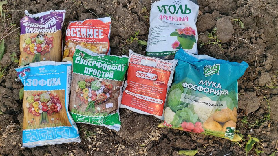 ��� ������� ��������� ������� ��������� ��� ���������