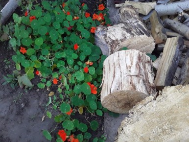 ���������� ����: ��������� ������� �� ���� - ��� ���� ���?