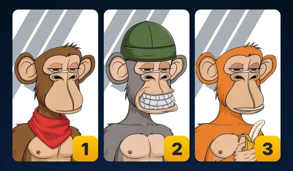 Как выбрать обезьяну и узнать о своем скрытом таланте