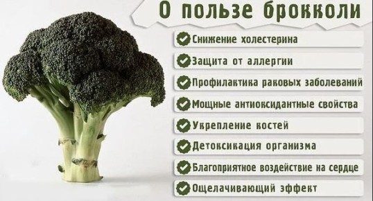 Как сделать рыбу любимым блюдом вашего ребенка: фрикадельки из минтая с брокколи