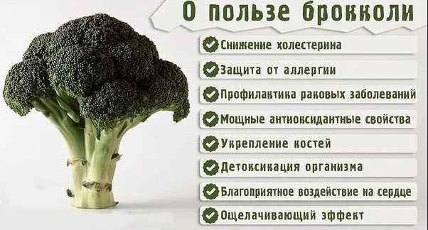 Как сделать рыбу любимым блюдом вашего ребенка: фрикадельки из минтая с брокколи