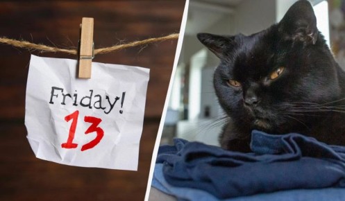 �������� �������: ��� ���������� �� ������� 13-�� �����