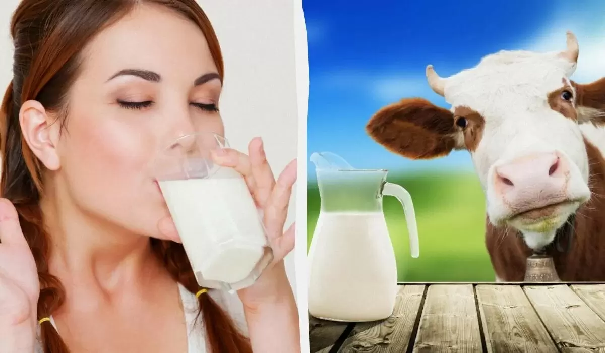 Растительное молоко: каждый день полезно или опасно?