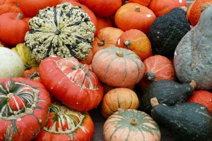 Зимние овощи для крепкого иммунитета: что включить в рацион