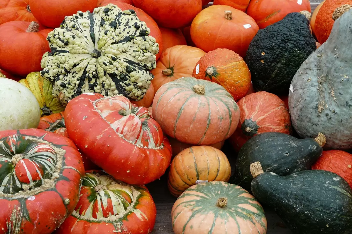 Зимние овощи для крепкого иммунитета: что включить в рацион