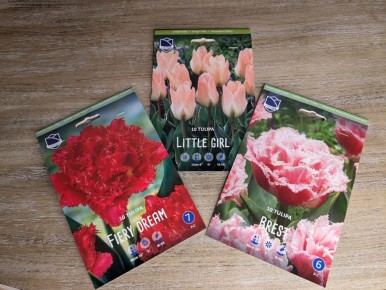 ����������� �������: ��� �������� ������������ ��� �������