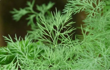 ������� ������� �����: ��� ��������� ����� � ��� �� �����������