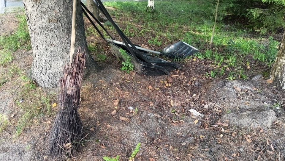 ����� ������� ����� ����������� ����� �������� �������� ������ ���������� �������������