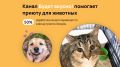 Чудеса доброты: как канал помогает приюту ЗООДОМ