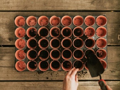 ������ ���������: ������� ���� �� �������� ������� � 2026 ����