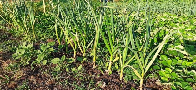 ������� ��������� ����������� �������: ��� ���������� ����� ���������� ������ � ��������� �������