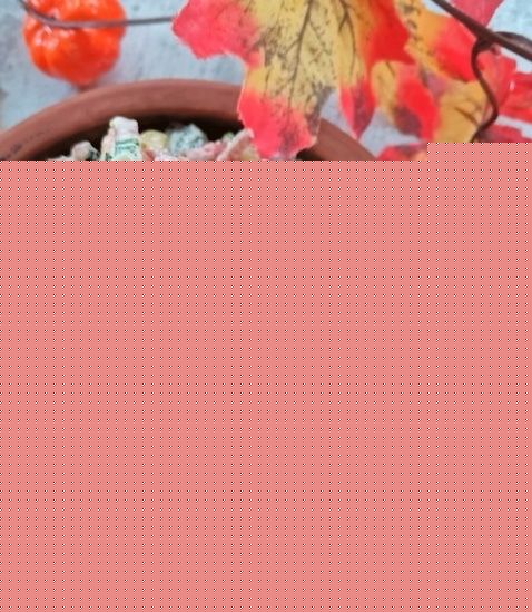 ������� �����: ������ � ���������