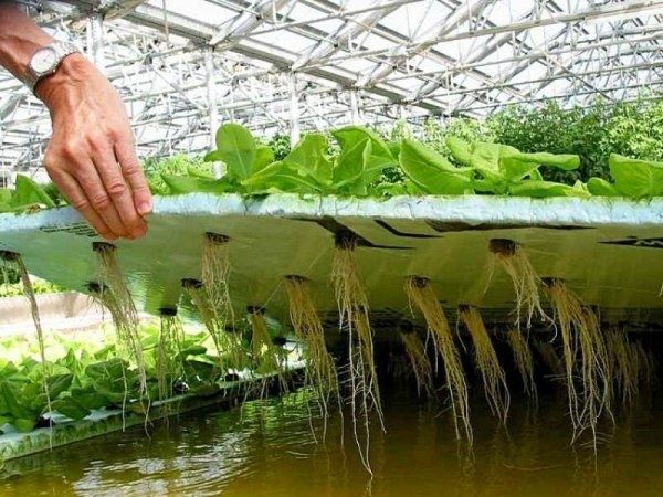 ��� �������� ����� � ������� � ���������� ����������?