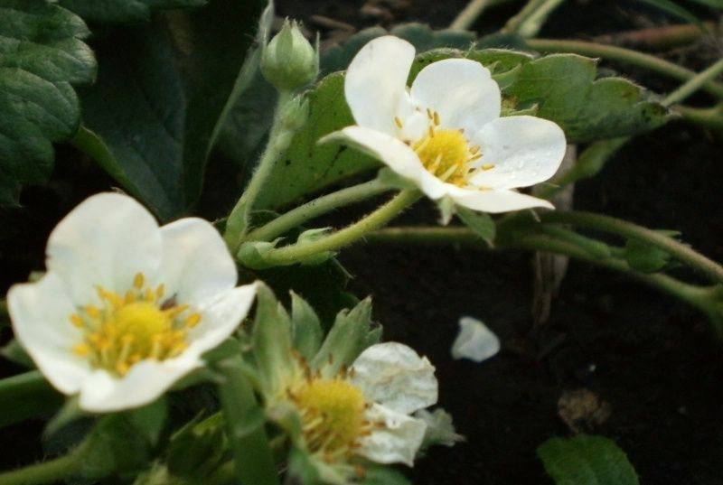 ����� ��������� ����� �� ���������: ��� ������� ������ ��� �������� ������