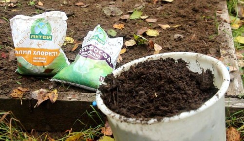 ���������� ����� ������: ��� ������� ��������� ��� ��������� ������