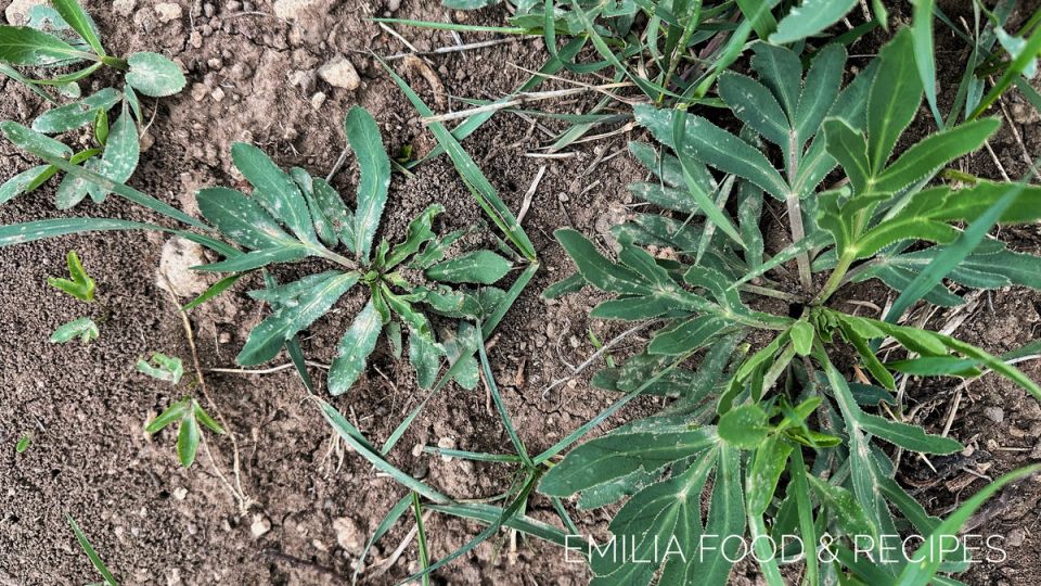 �����: �������� ����������� � ������ � �����