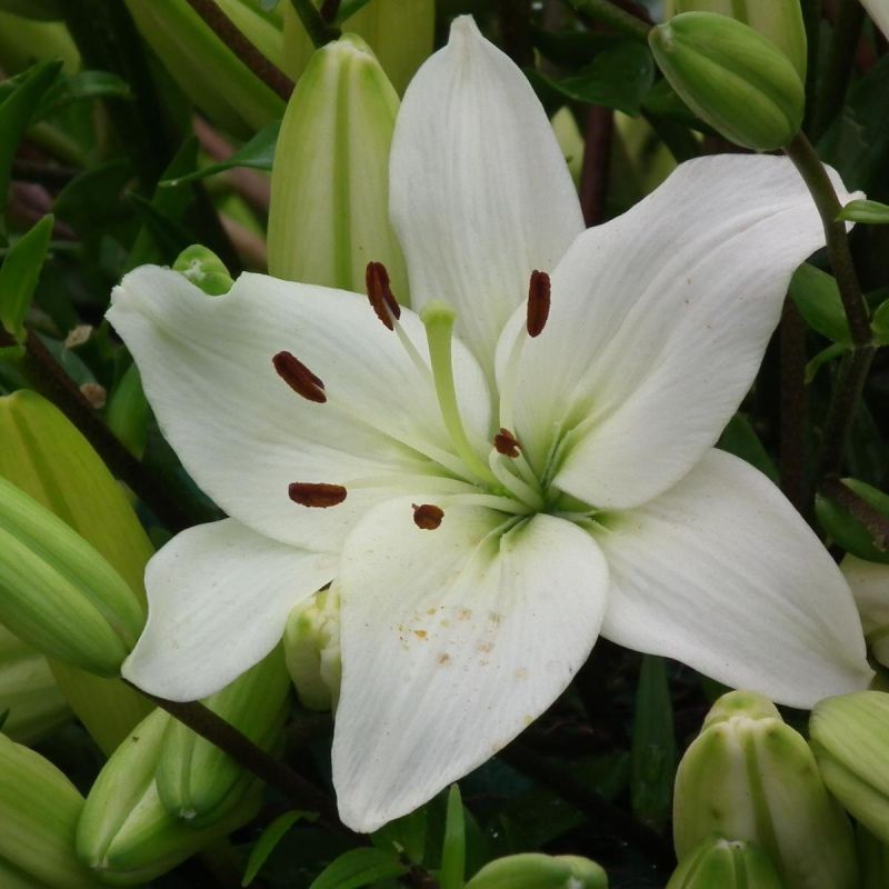 ��� �������� ��������� �������� �����: ������� ���������� �����