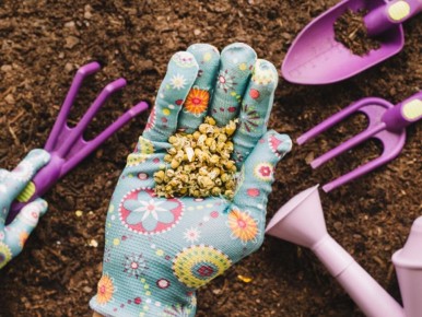 ������� ����, ������� revital������� ���� ��������: ������������ ������� ������ ���������