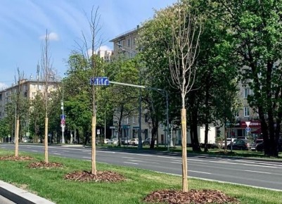 ��� ��������� ����������� ��� � ����: ���������� ������� ������� ��������