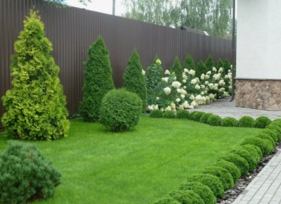 ������� ������ ���: ��� �������� �� �������� � �������