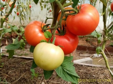 ��� ��������� ������� ������ ��� �����������: �������� ������ � ������