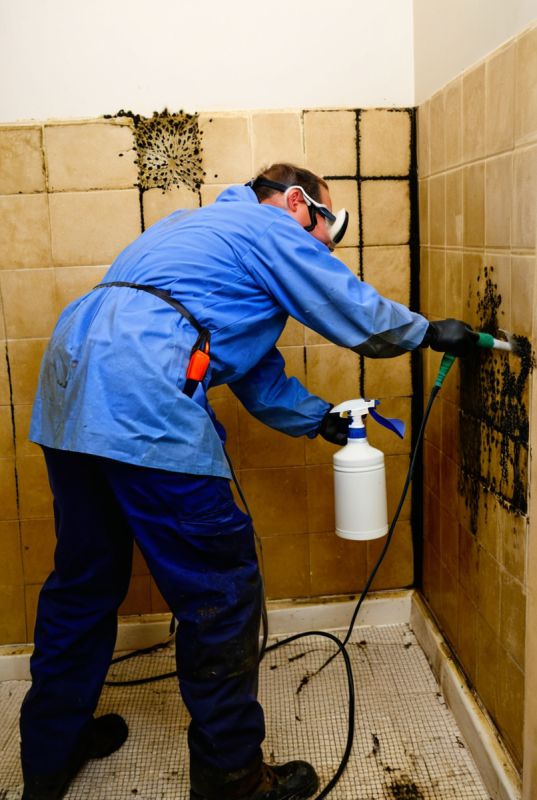 ���, ��� ����� ����� � ������ � �������: ������ � ������������